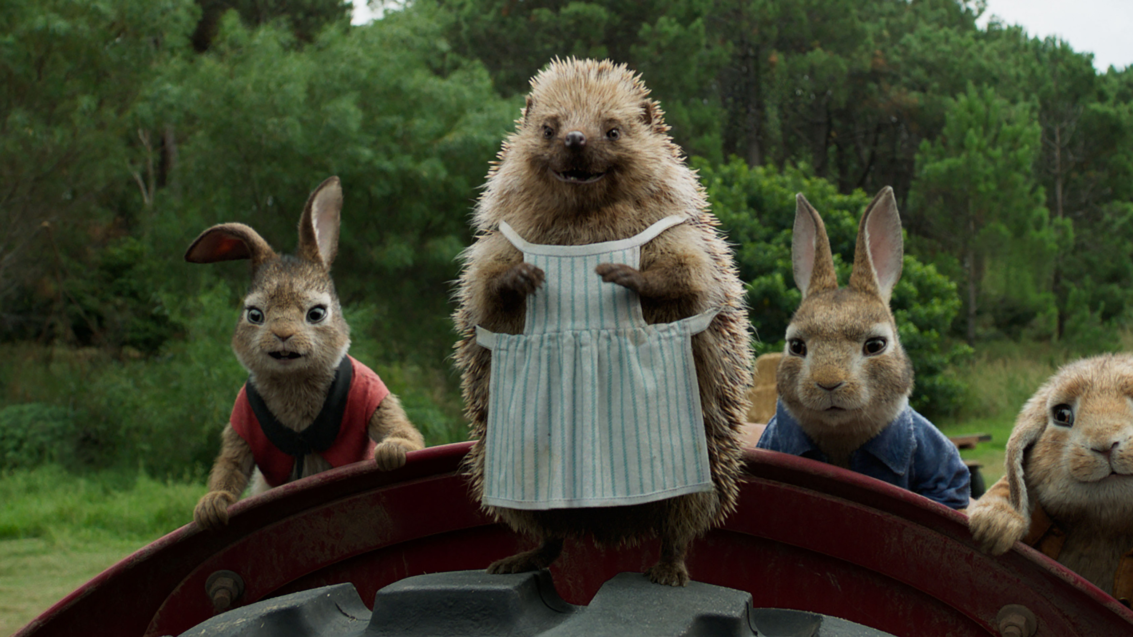 Wallpaper Peter Rabbit, hedgehog, 4k, Movies #17770