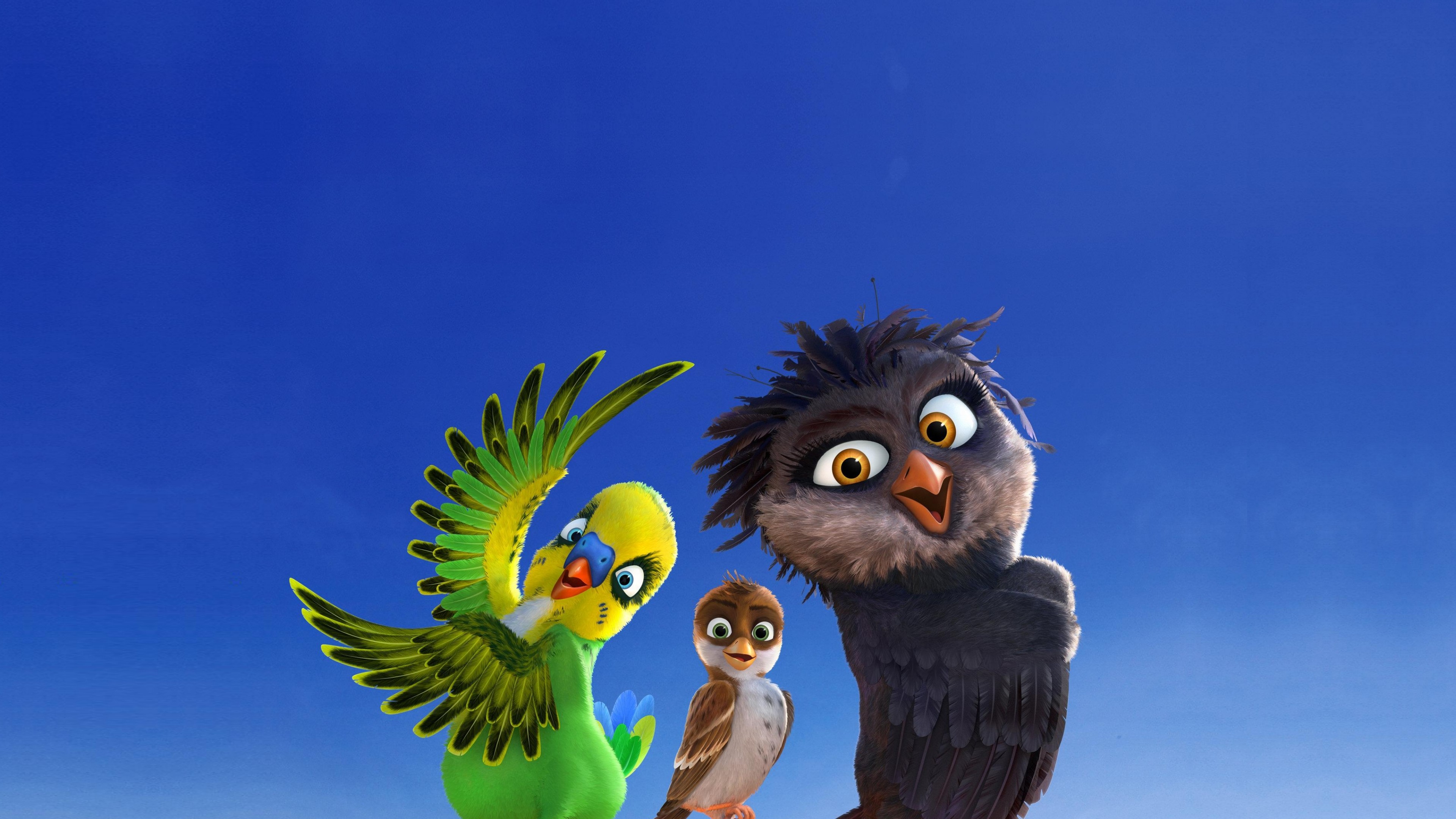 Wallpaper Richard the Stork, birds, Best Animation Movies of 2016