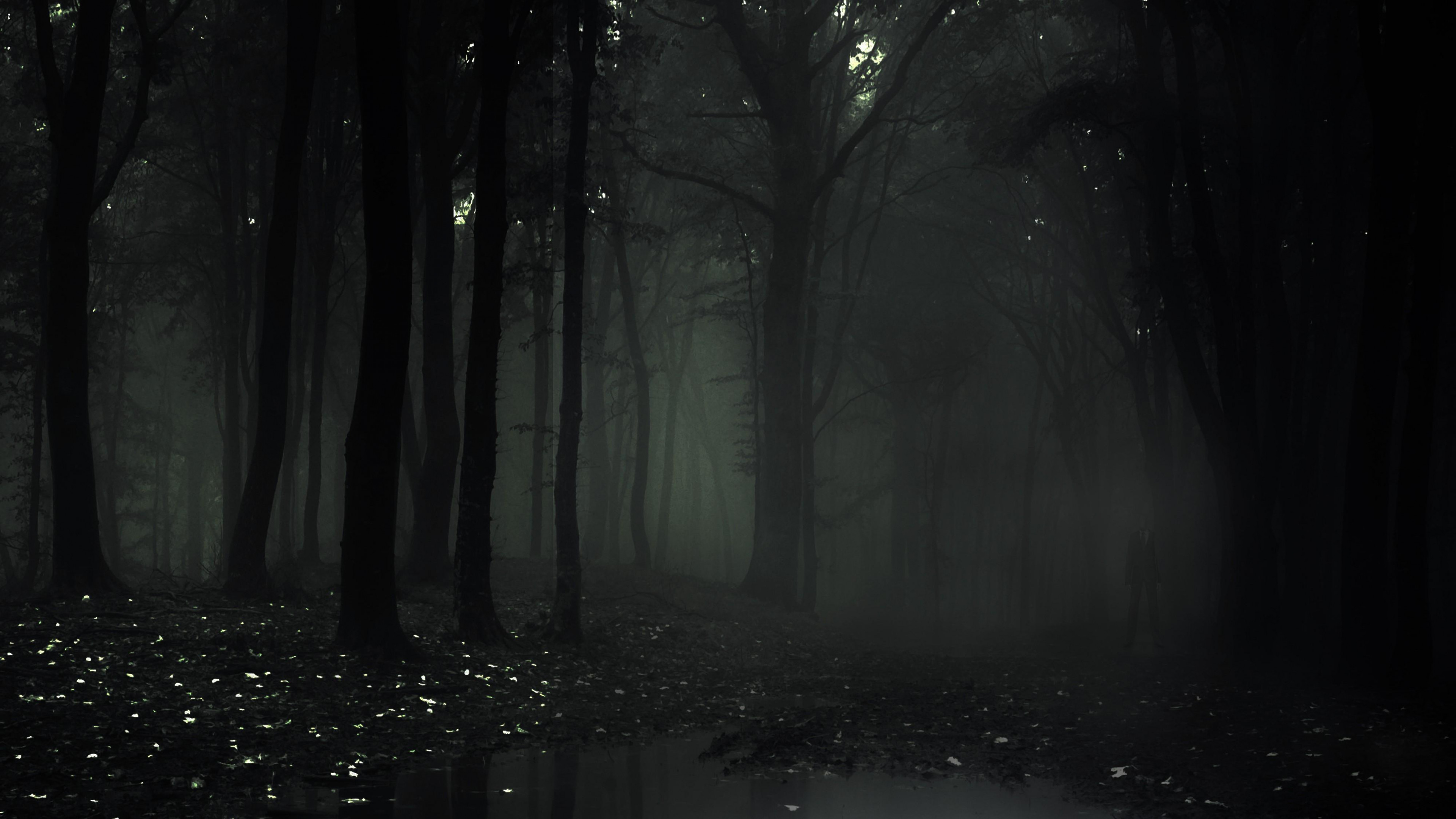 Slender The Eight Pages Slender The Arrival Survival horror Slender man  computer computer Wallpaper video Game png  PNGWing