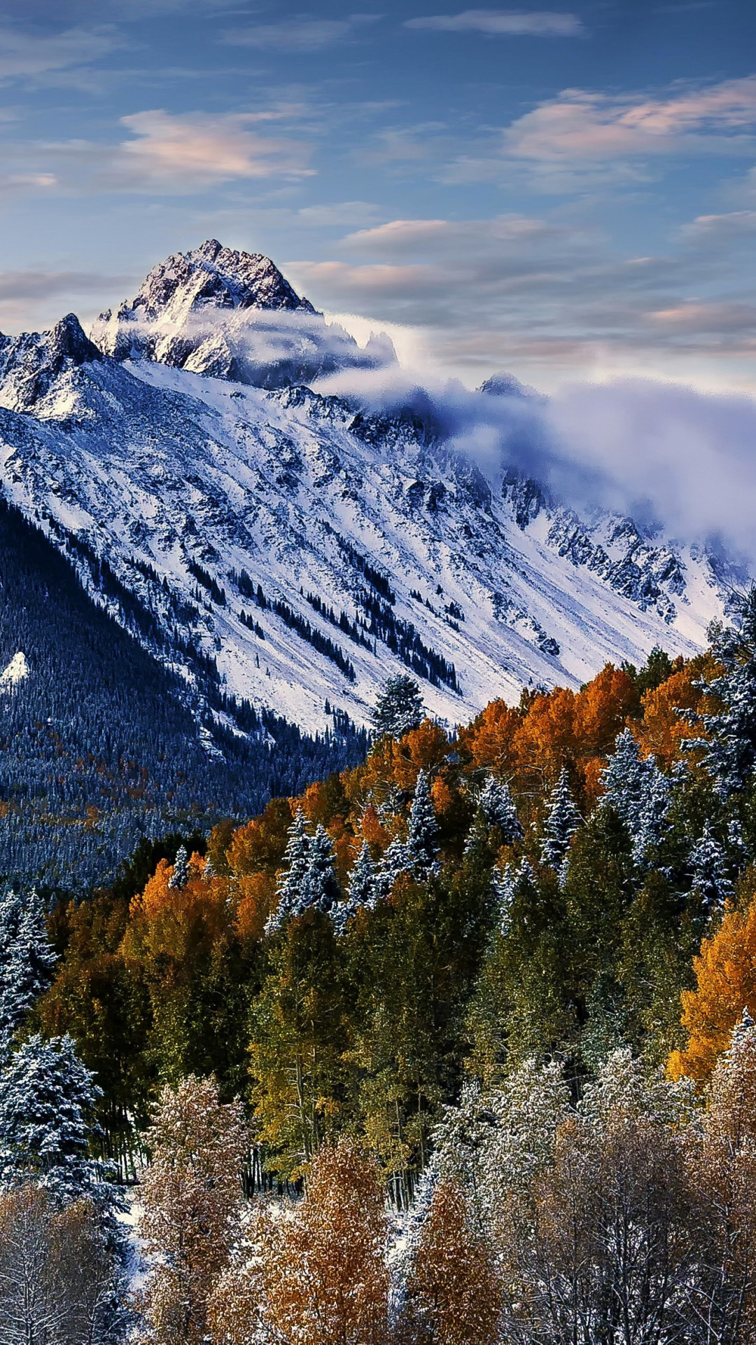 Wallpaper Sneffels, mountain, trees, winter, forest, 4k, Nature #17394