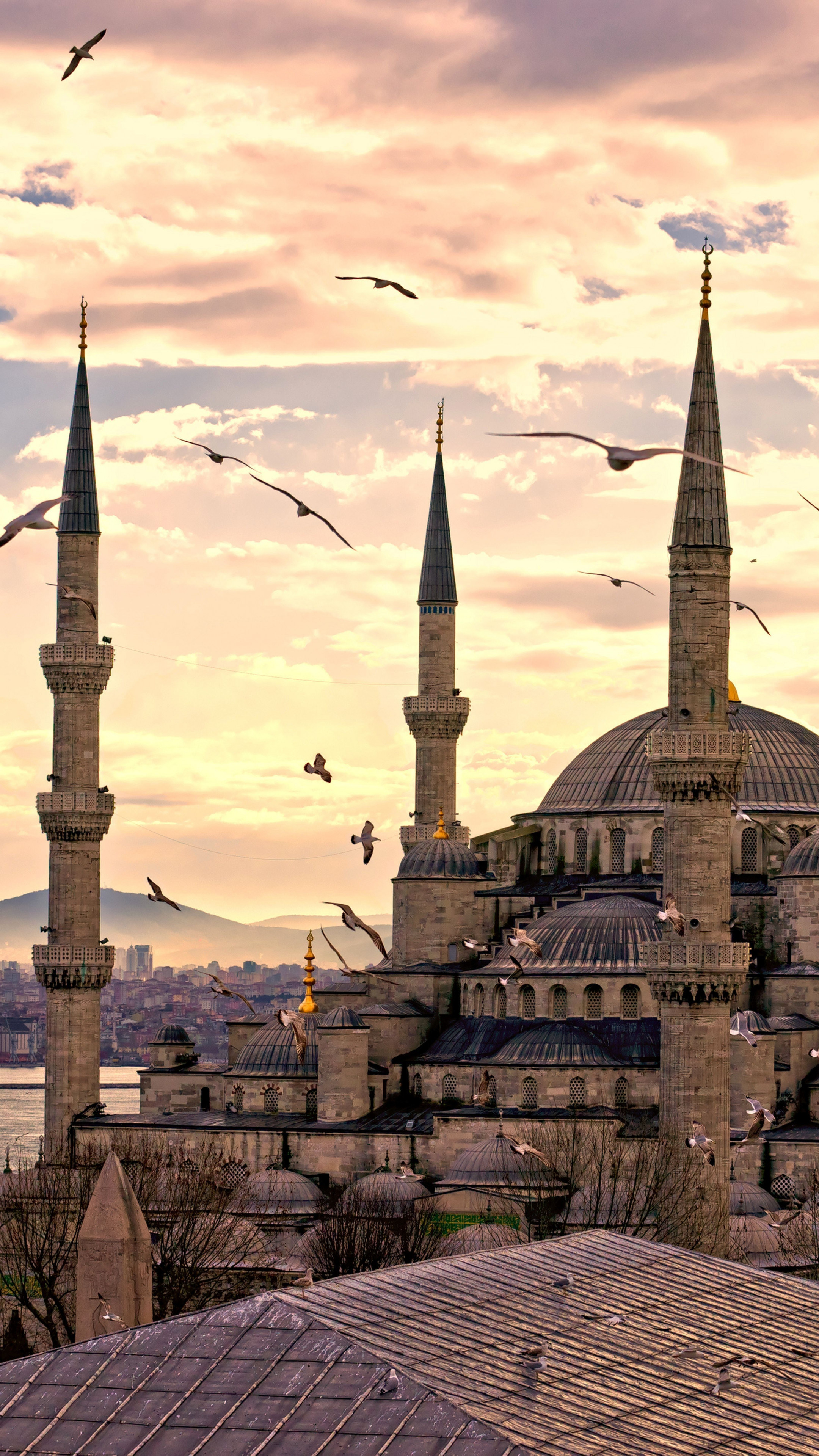 Wallpaper Sultan Ahmed Mosque, Istanbul, Turkey, Travel 