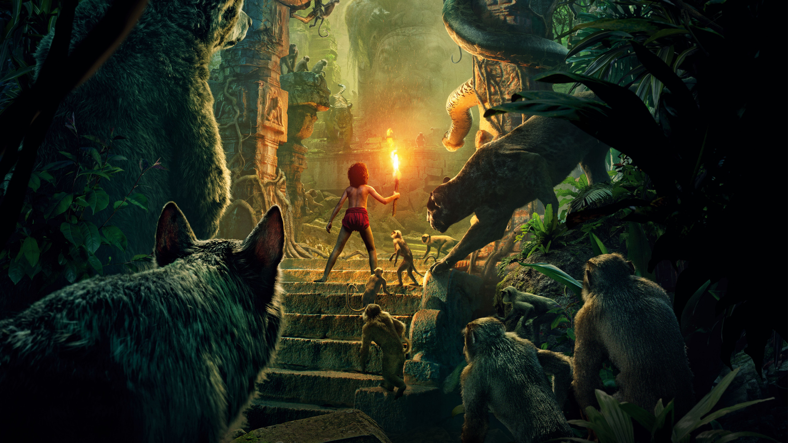 Wallpaper The Jungle Book, Best Movies, Mowgli, Bagheera, Movies #8899