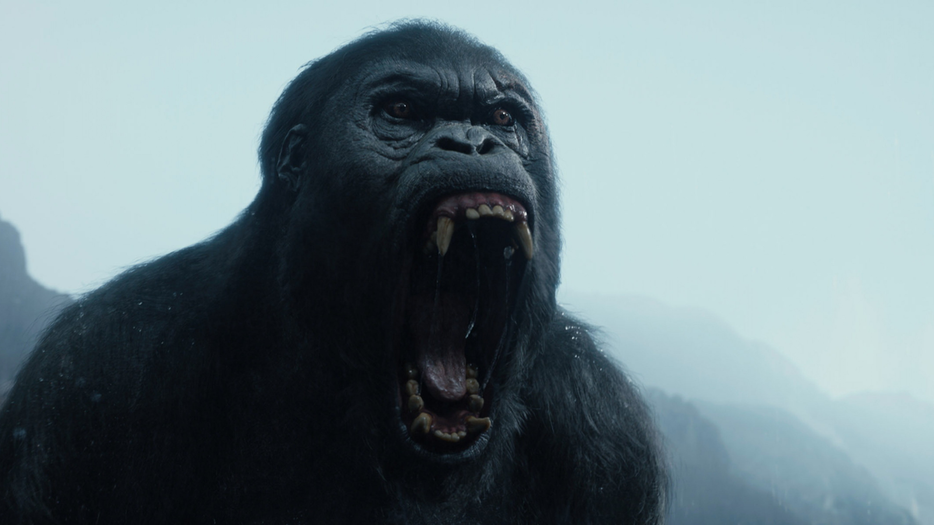 Wallpaper The Legend of Tarzan, gorilla, best movies 2016, Movies #10933