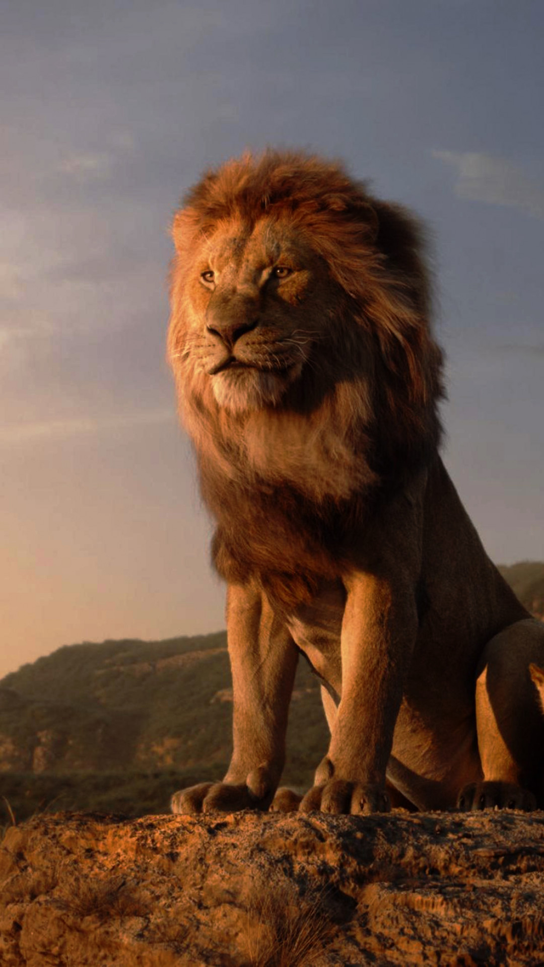 Wallpaper The Lion King, HD, Movies #21813