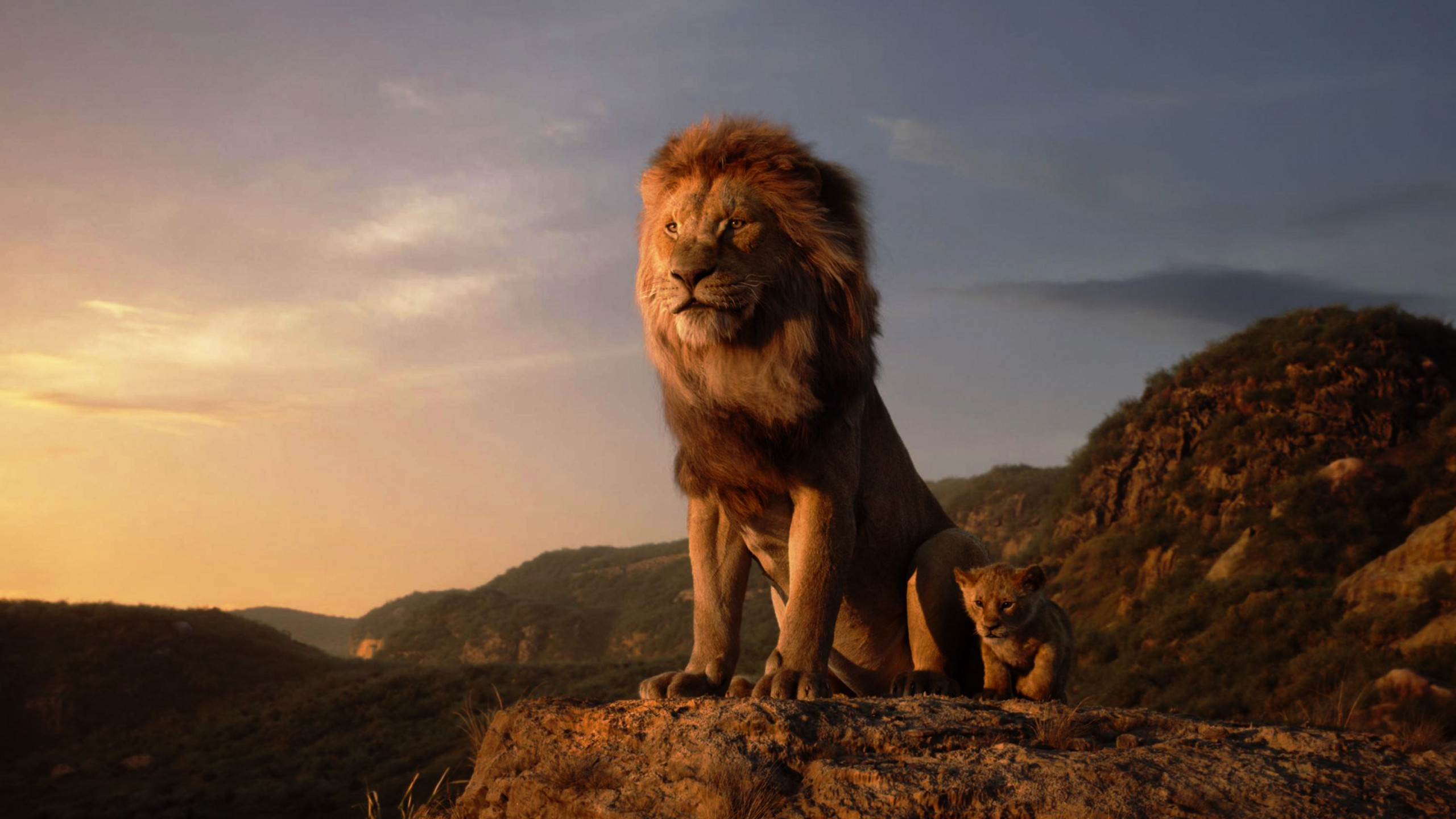 Wallpaper The Lion King, HD, Movies #21813
