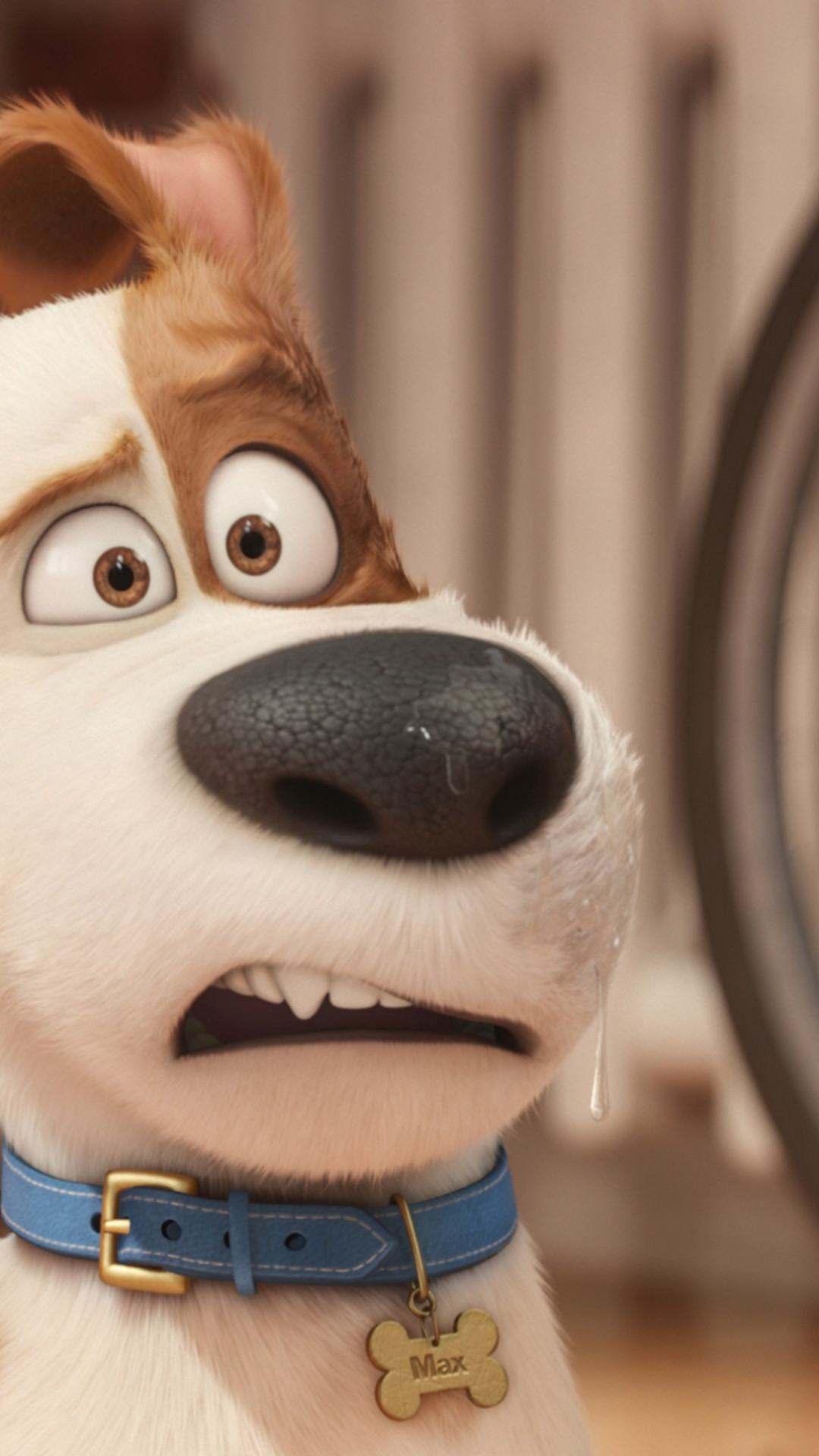 Wallpaper The Secret Life of Pets, dog, Best Animation Movies of 2016