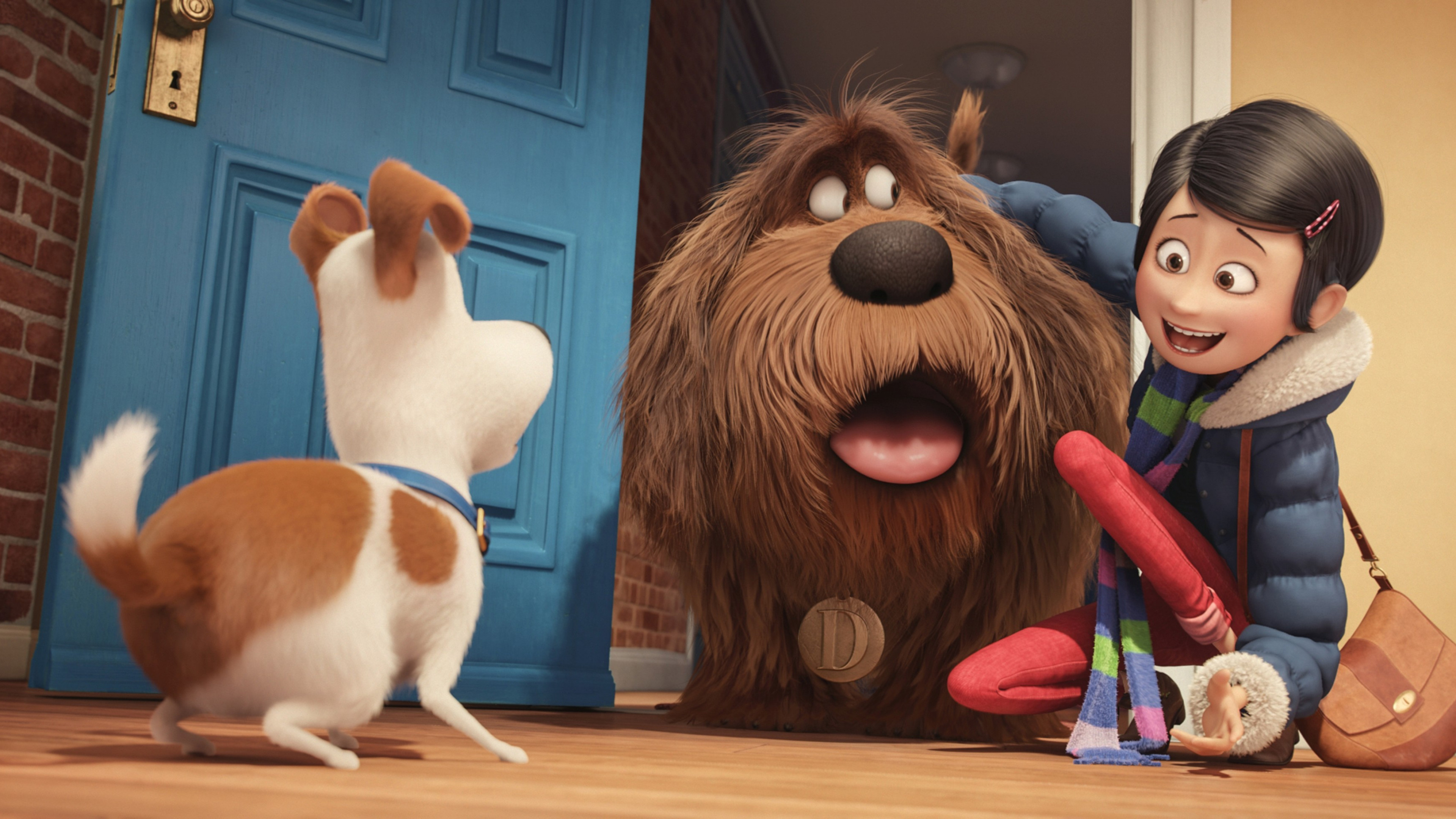Wallpaper The Secret Life of Pets, dog, Best Animation Movies of 2016,  cartoon, Movies #10087