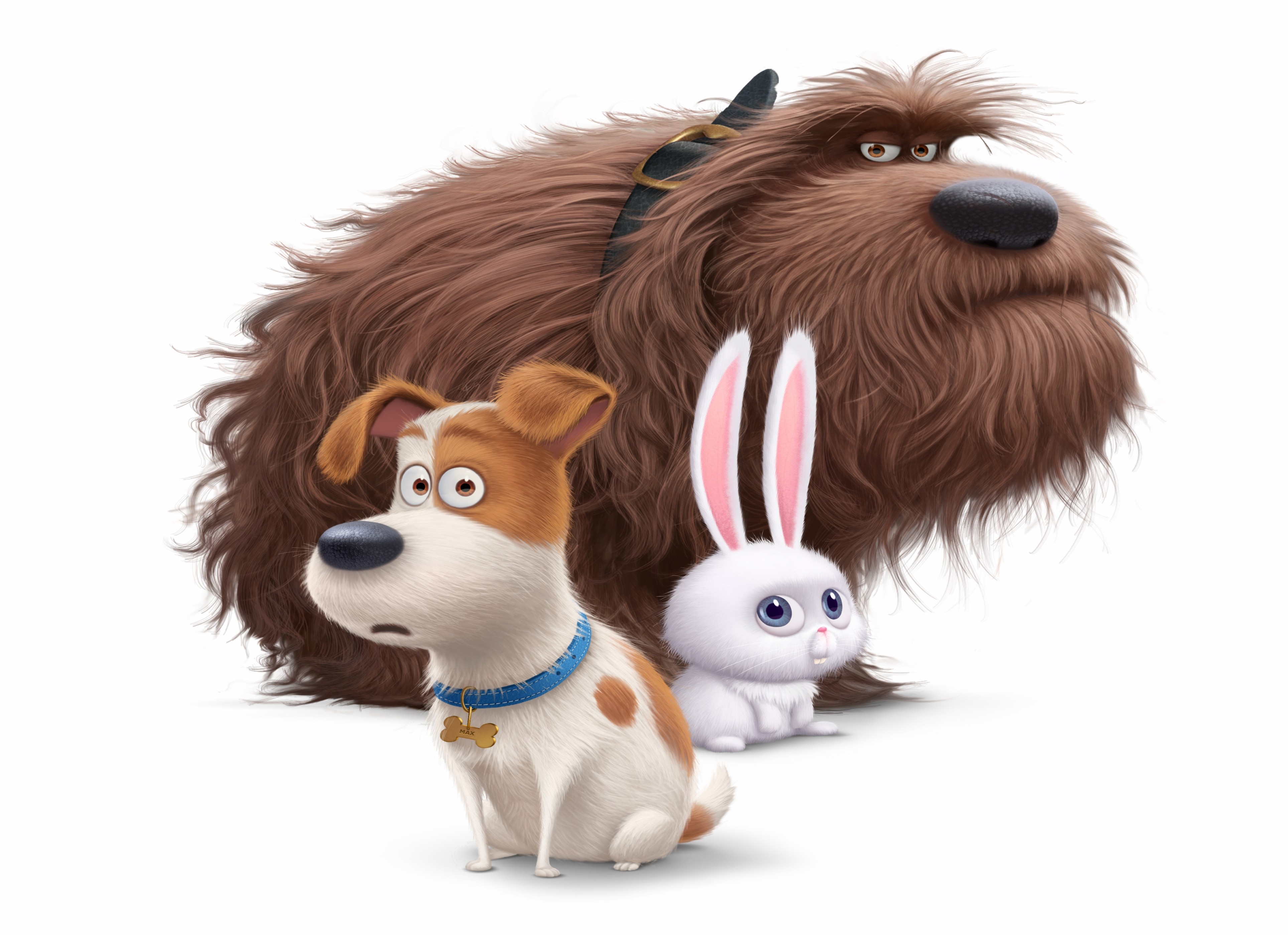 Wallpaper The Secret Life of Pets, Best Animation Movies ...