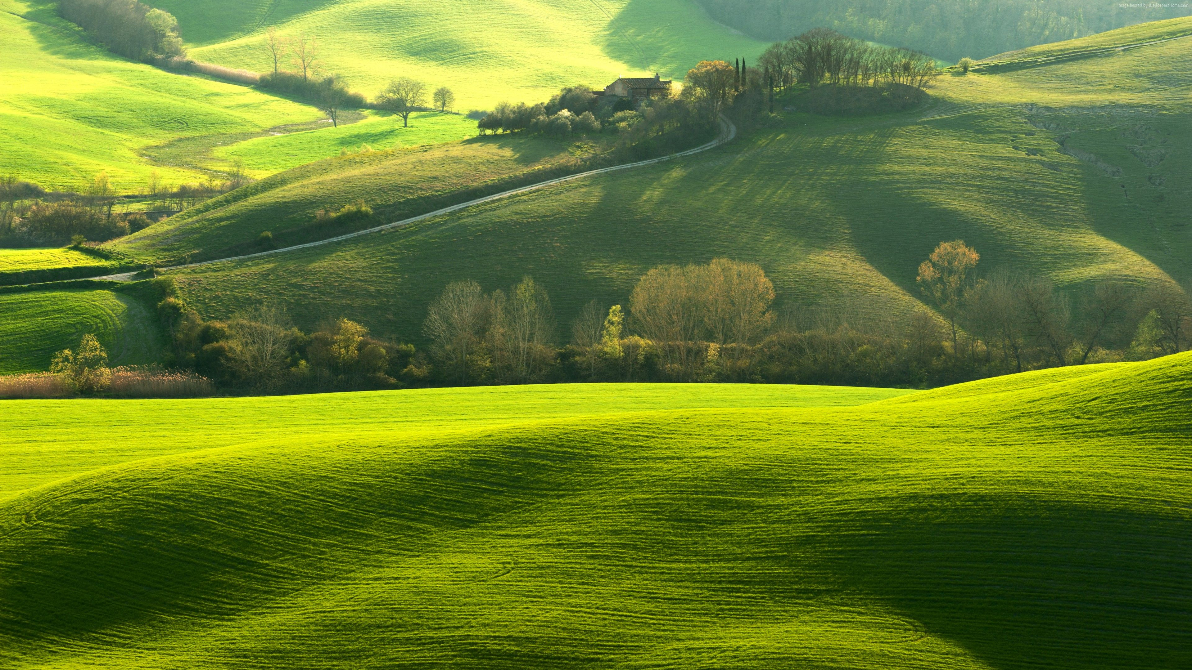 Wallpaper Tuscany, Italy, Europe, hills, green, field, 4K, Nature #16282