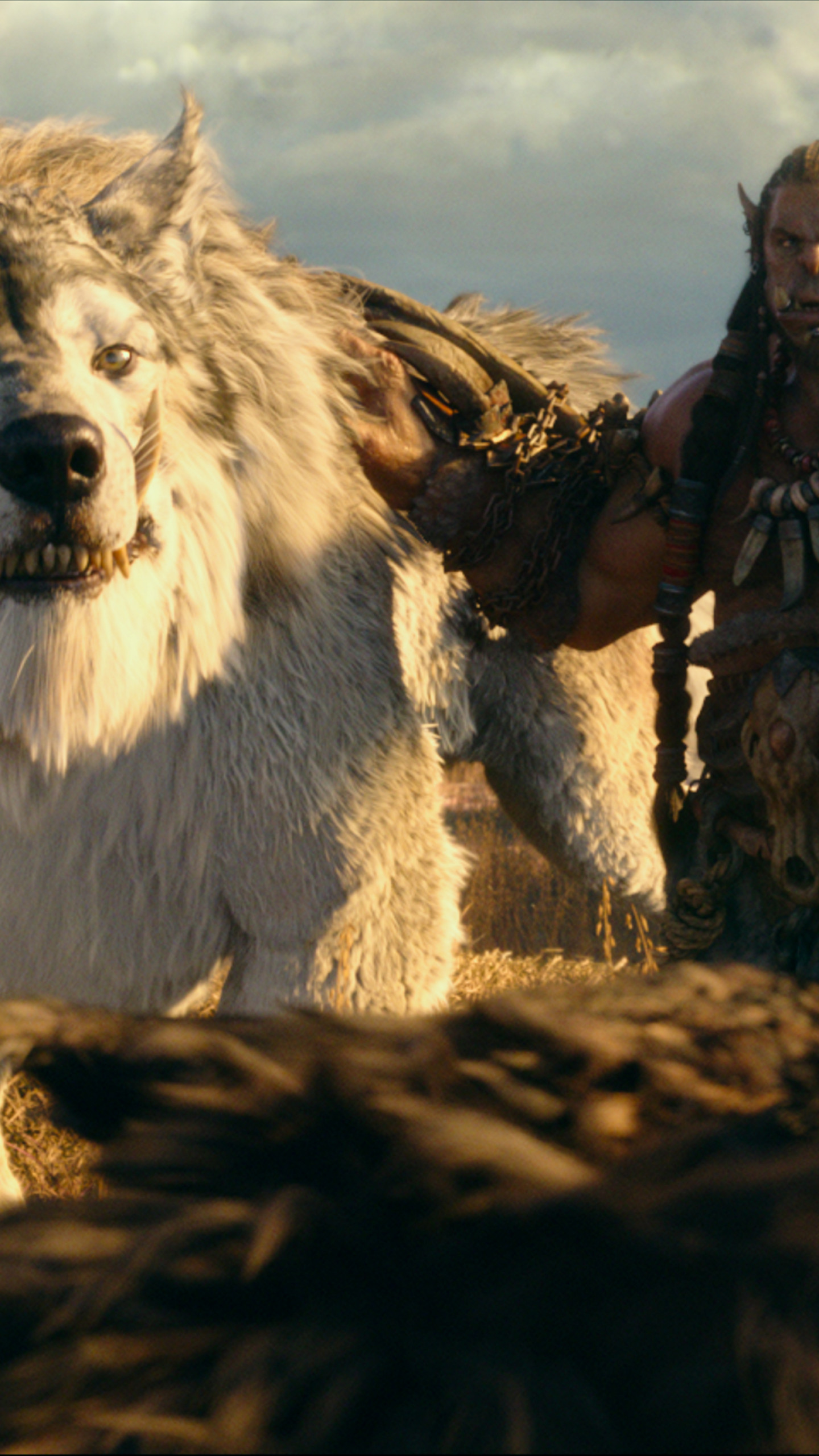 Wallpaper Warcraft, ork, wolf, Best Movies of 2016, Movies #107261440 x 2560