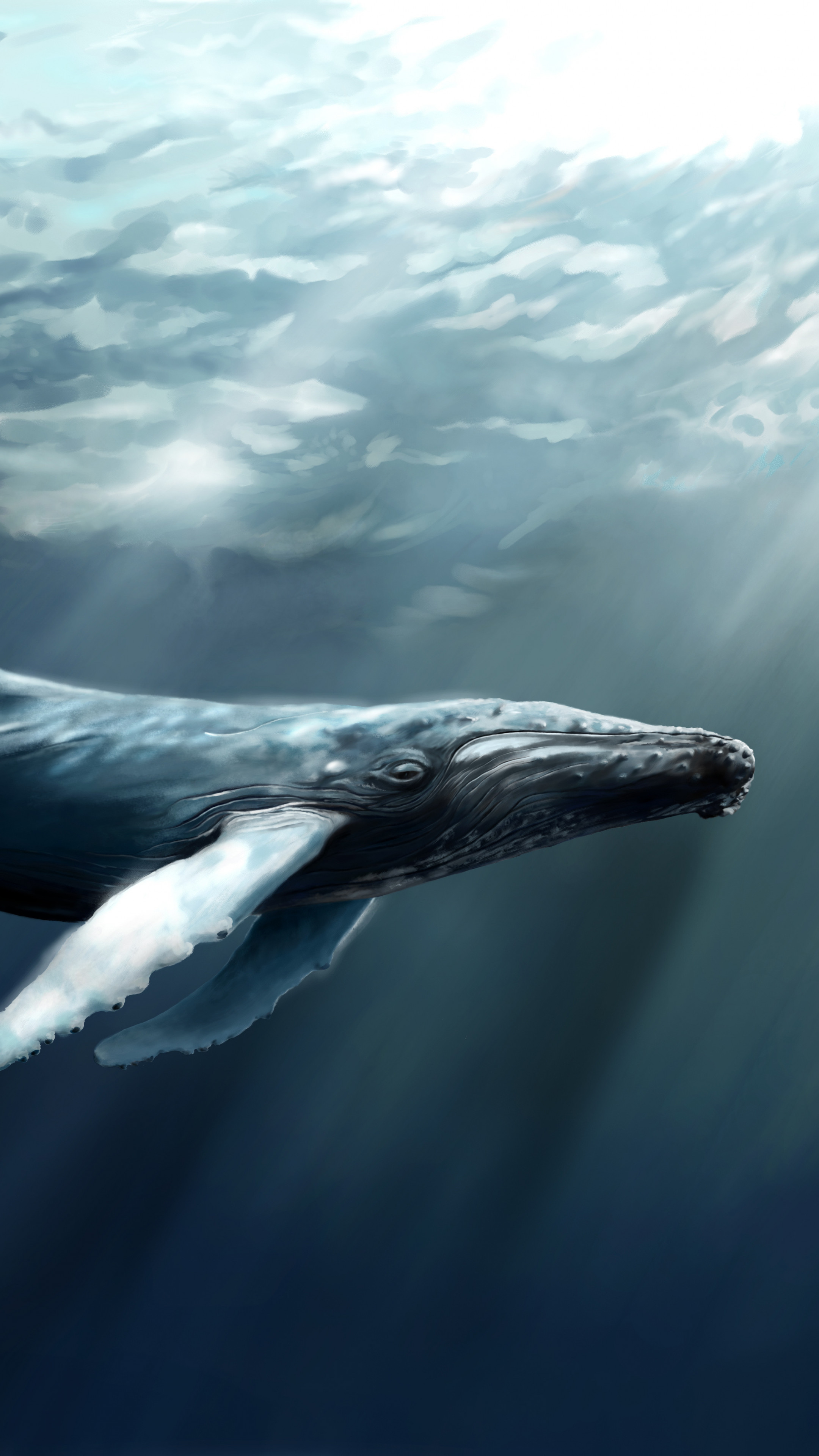 SHOP Whale Illustration in Seafoam Removable Fabric Wallpaper Online –  Olive et Oriel