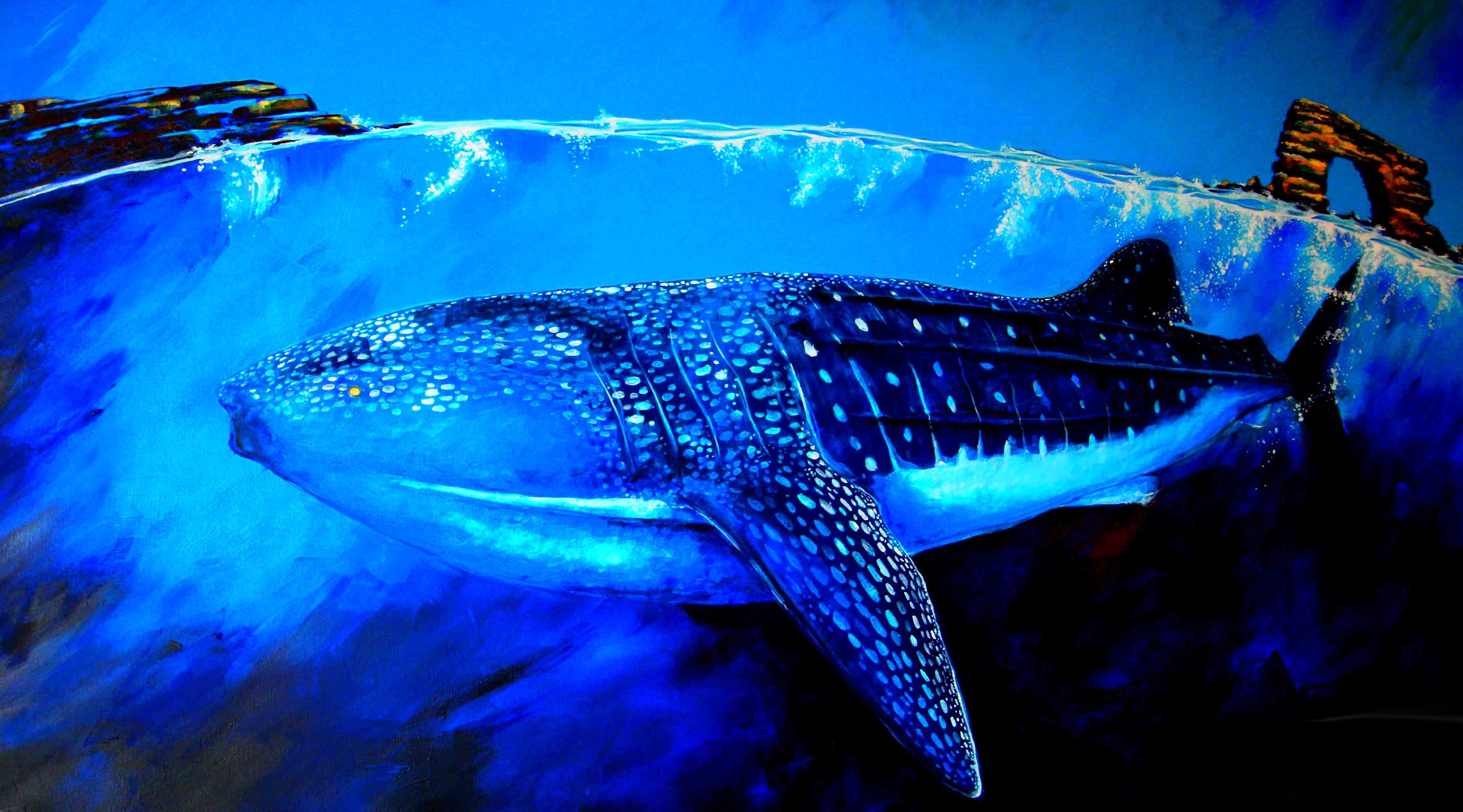 Wallpaper Whale Shark, underwater, art, Animals #5867