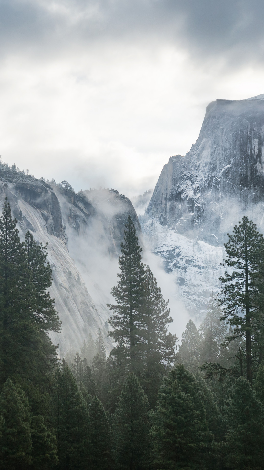 Wallpaper Yosemite 5k 4k Wallpaper 8k Forest Osx Apple Mountains Nature 181