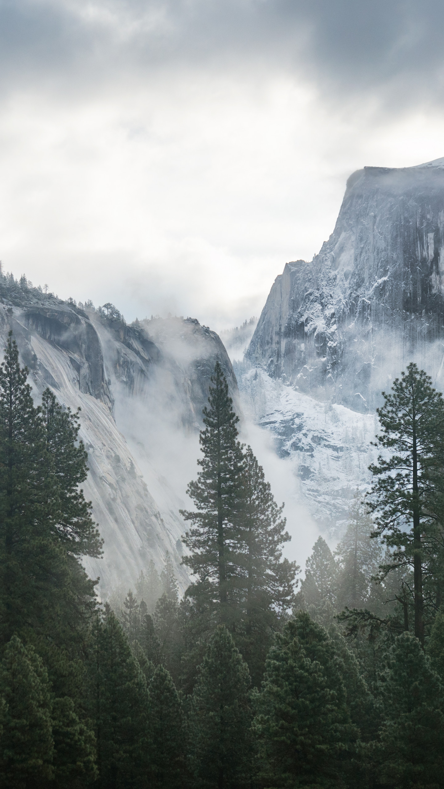 Wallpaper Yosemite, 5k, 4k wallpaper, 8k, forest, OSX, apple, mountains, OS  #181
