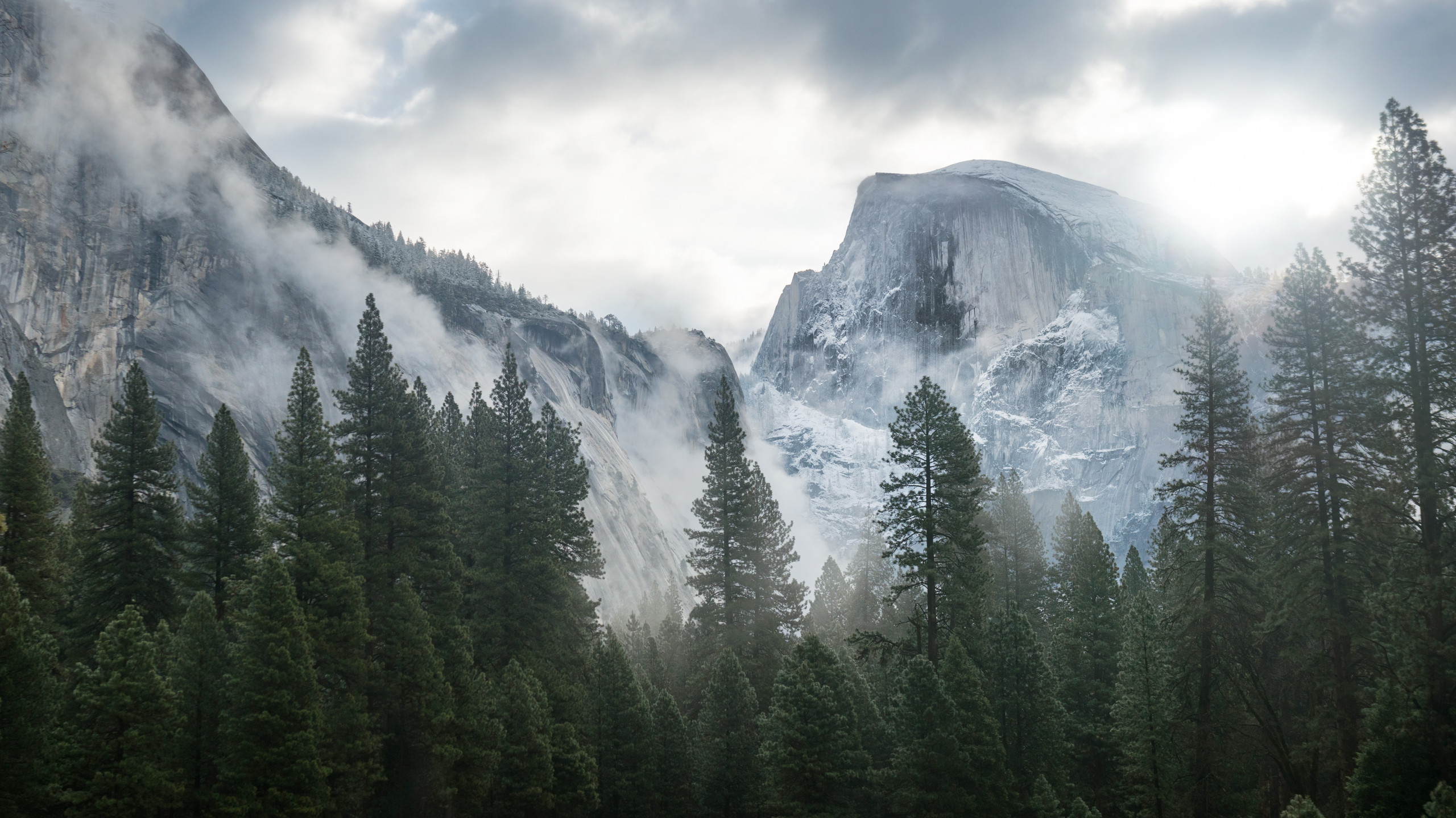 Wallpaper Yosemite, 5k, 4k wallpaper, 8k, forest, OSX, apple, mountains